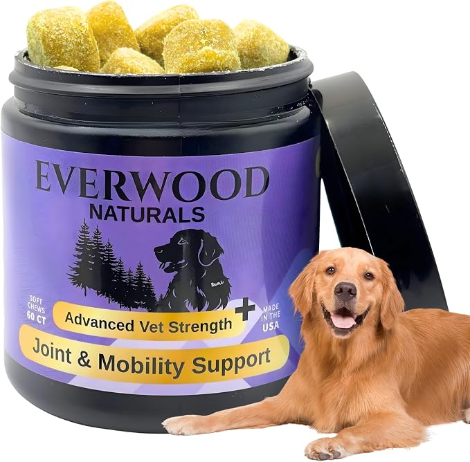 Premium Joint & Mobility Support Soft Chews for Dogs – Glucosamine, MSM, Green Lipped Mussel & Turmeric – Dog Hip & Joint Supplement – 60 Soft Chews