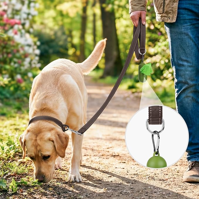 Joytale Reflective Dog Leash for Medium & Large Dogs, 4 FT x 1", Brown | Heavy Duty Nylon Webbing, Padded Handle for Comfort, Visible at Night, for Walking & Training
