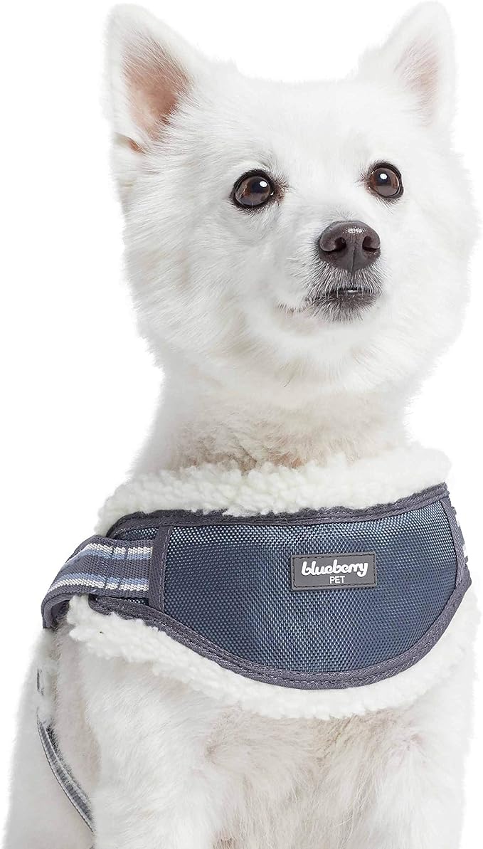 Blueberry Pet Soft & Comfy Multi-Colored Stripe Fleece Padded Chest Dog Harness, Chest Girth 30" - 38.5", Grey, Large, Adjustable No Pull Training Harness for Dogs