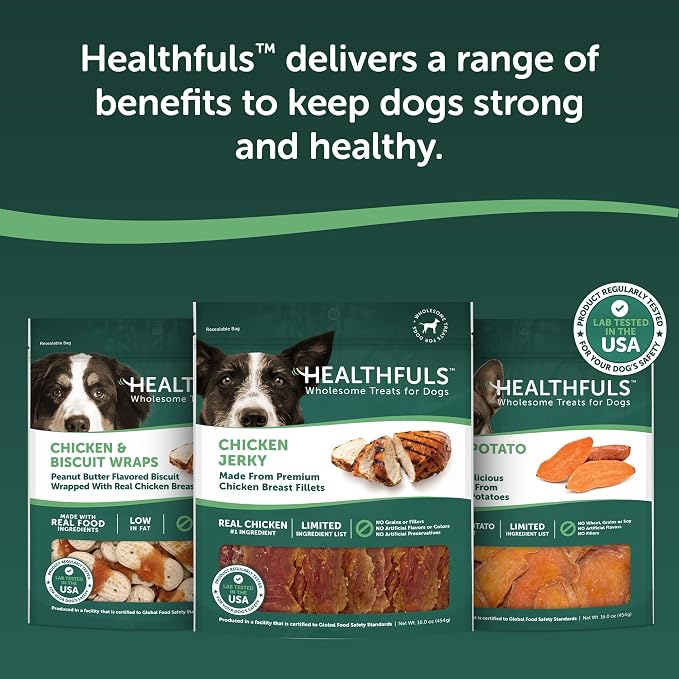 HEALTHFULS Chicken Jerky Dog Treats, 20oz