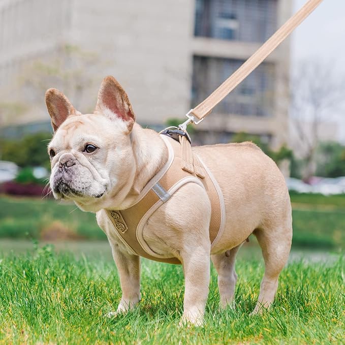 PUPTECK Dog Harness and Leash Set for Small Medium Dogs No Pull Step-in Soft Mesh Puppy Cat Vest Harnesses Reflective at Night, Denim Beige L