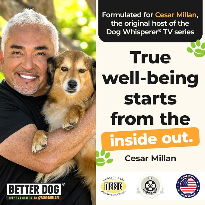 Better Dog Forever Active Hip and Joint Supplement Powder for Dogs, 4 oz