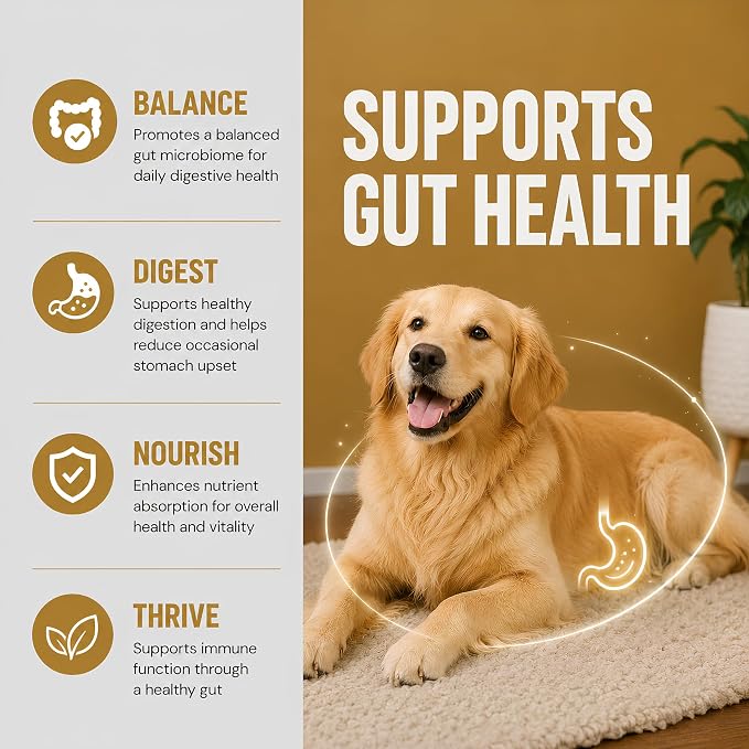 VetDr.Mois® Probiotics for Dogs, 120 Soft Dog Probiotic Chews for Dogs Gut Health Digestive & Immune Support, Dog Probiotics for Yeast Itchy Skin with Digestive Enzymes, Constipation & Diarrhea Relief