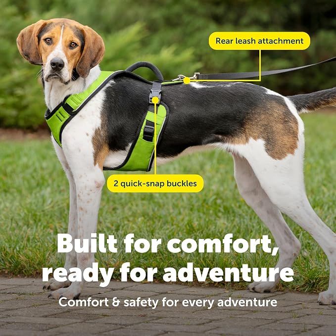 PetSafe EasySport Dog Harness, Apple Green, Large | Padded, Elastic Neckline Harness for Active Dogs, Reflective Piping for Visibility, Top Control Handle, Rear Leash Clip