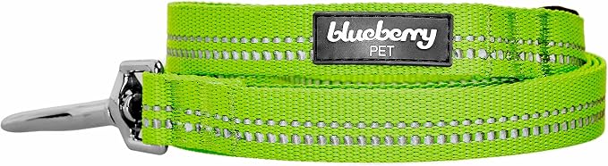 Blueberry Pet 3M Reflective Pastel Color Dog Leash with Soft & Comfortable Handle, 4 ft x 1", Green Flash, Large, Leashes for Dogs