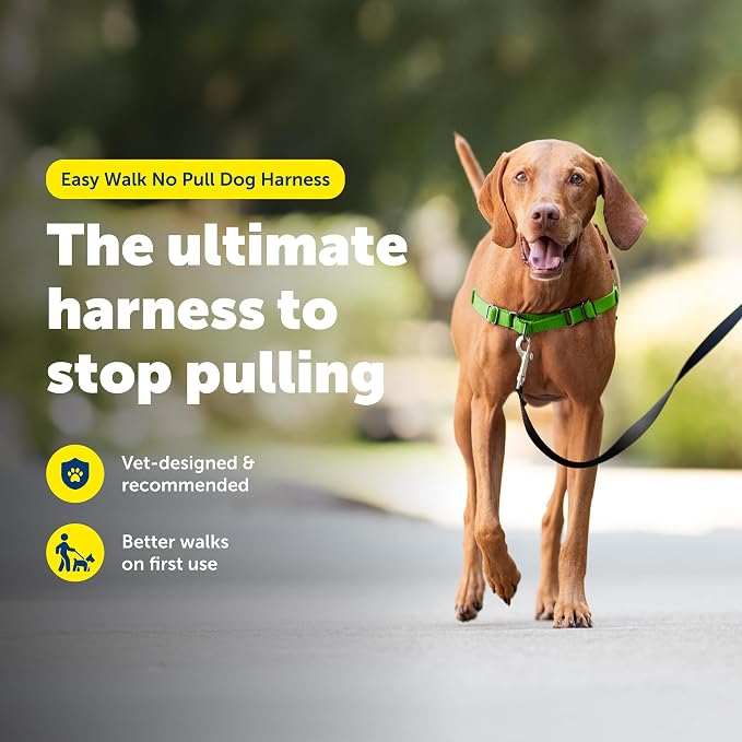 PetSafe Easy Walk No-Pull Dog Harness - Ultimate Harness to Help Stop Pulling - Pull-Free Walks - Take Control & Teach Better Leash Manners - Patented Martingale Loop Design - Apple Green, Medium