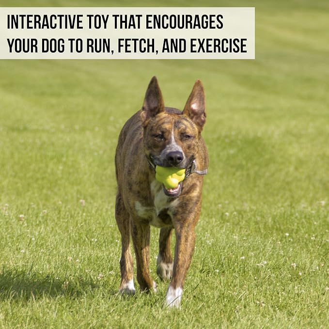 Hyper Pet Fetching Dog Toys - Throwing Bumpy Ball Dog Toy Made with EVA Foam - Lightweight & Floats on Water