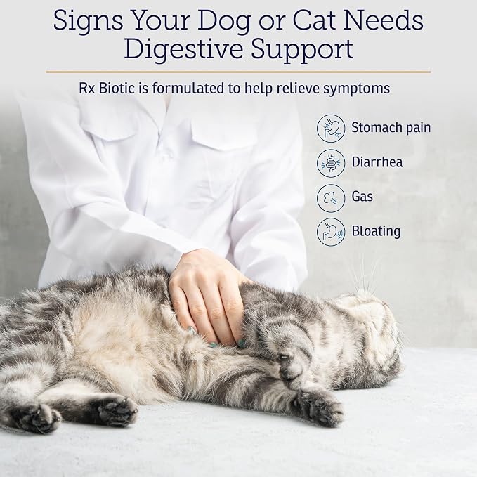 Rx Vitamins Rx Biotic - Probiotic Powder for Dogs and Cats - 1.25oz