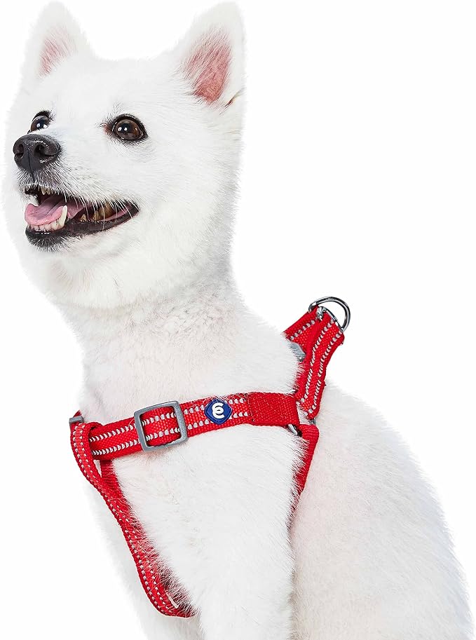 Blueberry Pet Essentials Step-in Reflective Back to Basics Dog Harness, Rouge Red, Chest Girth 20" - 26", Medium, Adjustable Harnesses for Dogs