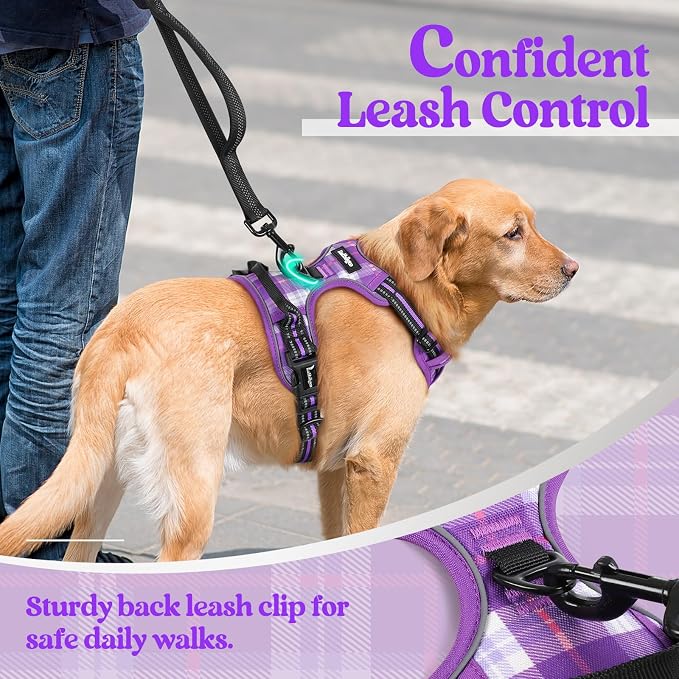 rabbitgoo Dog Harness, No Pull Medium Sized with 2 Leash Clips, Pet Vest | No Choke with Handle, Adjustable Soft Padded, Reflective, Easy Control for Walking, Purple Plaid, Medium