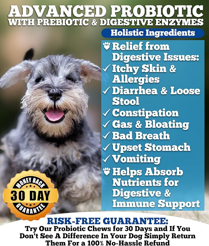 Well Loved Probiotics for Dogs & Well Loved Dog Allergy Chews Bundle, Vet Developed, Made in USA