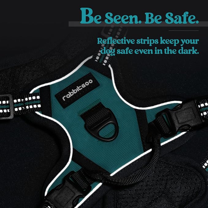 rabbitgoo Dog Harness No Pull with 2 Leash Clips, Adjustable Soft Padded, Reflective Oxford No Choke Pet Vest with Easy Control Handle for Puppy, Teal, XS | No Choke with Handle, Adjustable Soft Padded, Reflective, Easy Control for Walking, Teal, X-Small