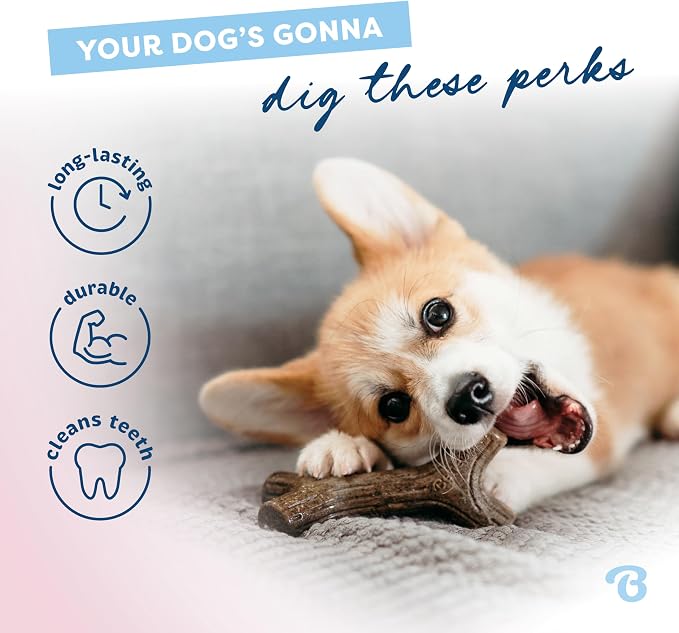 Benebone Puppy Maplestick Dog Chew Toy, Made in USA, Real Maple Wood Flavor, Small, Brown | Made in USA, Dog Bones, Puppy Chew Toys, Puppy Toys, Long-Lasting, Keeps Them Busy
