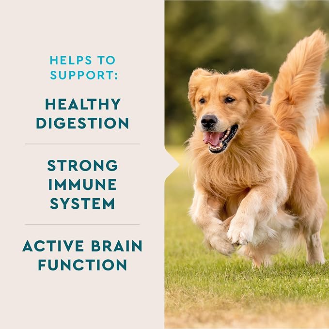 VetIQ Multivitamin for Dogs, Dog Supplement Supports Active Brain Function, Immune System, and Digestive System, Hickory Smoke Flavored Dog Multivitamin, Made in the USA, 60 Count
