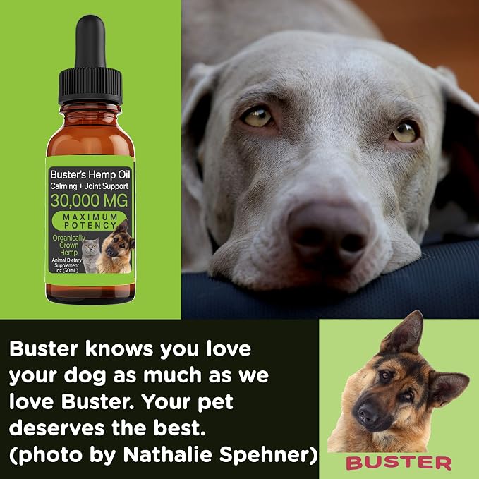 Buster's Hemp Oil for Dogs & Cats, Joint & Calming, Coat, 30ml
