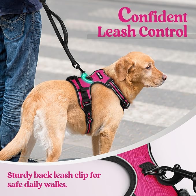 rabbitgoo Dog Harness, No Pull Medium Sized with 2 Leash Clips, Pet Vest | No Choke with Handle, Adjustable Soft Padded, Reflective, Easy Control for Walking, Hot Pink, Medium