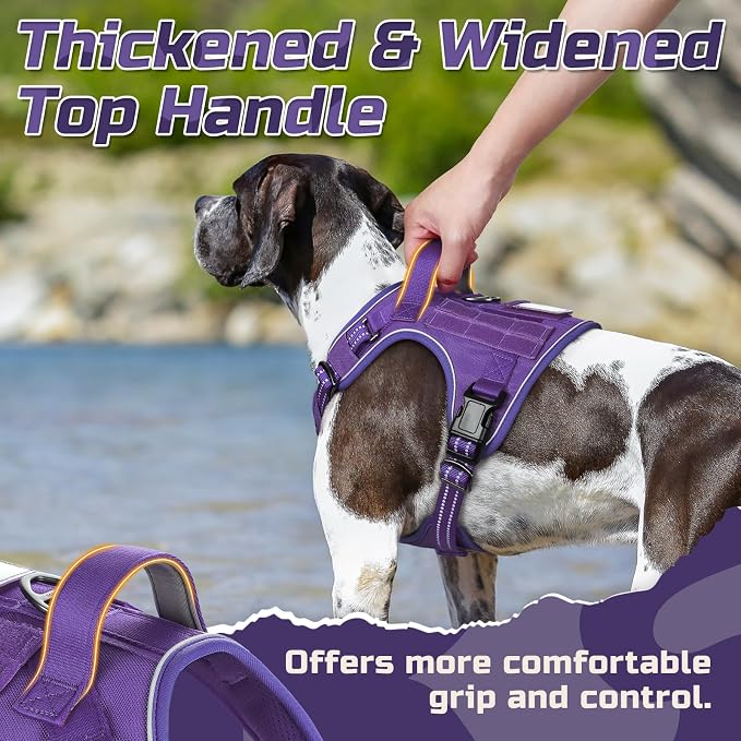 rabbitgoo Tactical Dog Harness for Medium, No Pull Military Service Vest | Molle & Handle, Heavy Duty, Adjustable, Reflective Straps, Easy Control for Training Walking, Purple, Medium