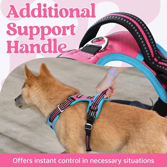 rabbitgoo Dog Harness for Large, No Pull 3 Buckles Easy On & Off | Soft Padded, Walking with Control Handle, Adjustable and Reflective, Pink & Blue, X-Large