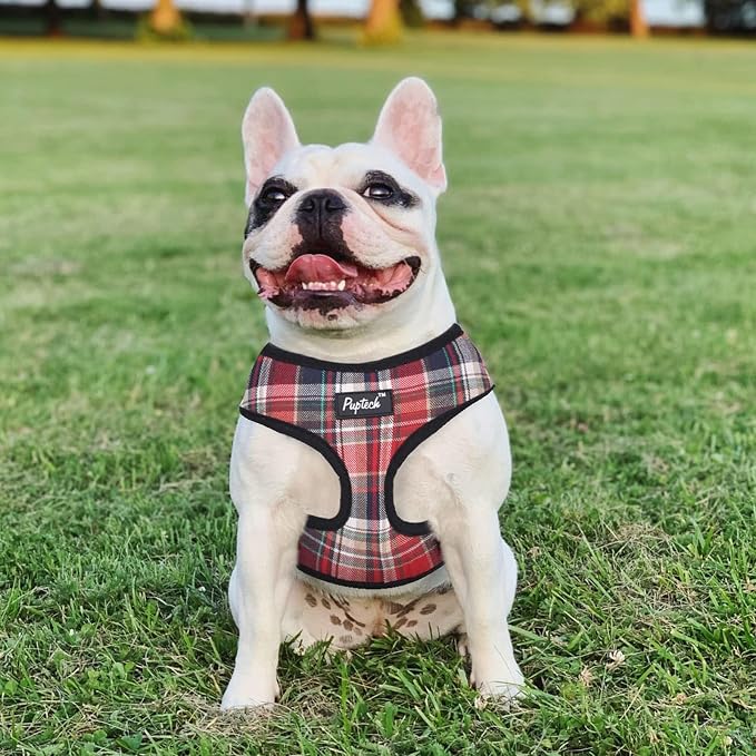 PUPTECK Soft Mesh Dog Harness and Leash Set Pet Puppy Cat Comfort Padded Vest No Pull Harnesses, Red Mixed, S