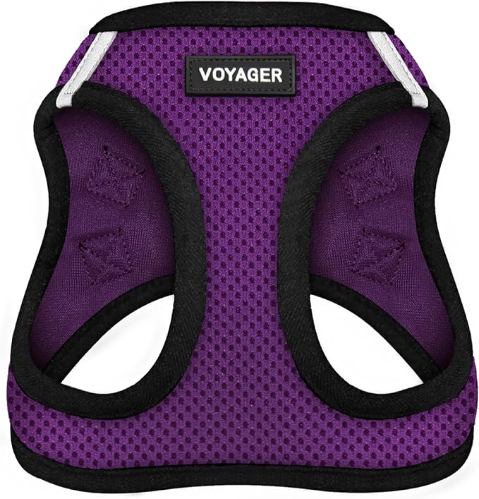 Voyager Step-in Air Dog Vest Harness - Purple/Black Trim, XX-Small | 12 - 13.5" in Chest, Reflective Bands, All Weather Breathable Air Mesh, Cats Compatible, Lightweight, Fast Drying