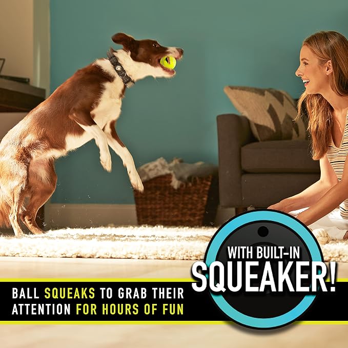 Franklin Sports Ready Set Fetch Squeaker Tennis Ball Dog Toy - 12 Pack | Fun Noise-Making Feature, Tough + Durable Build, Ideal For Small To Large Pets, Great For Active Play, Park + Yard Fun
