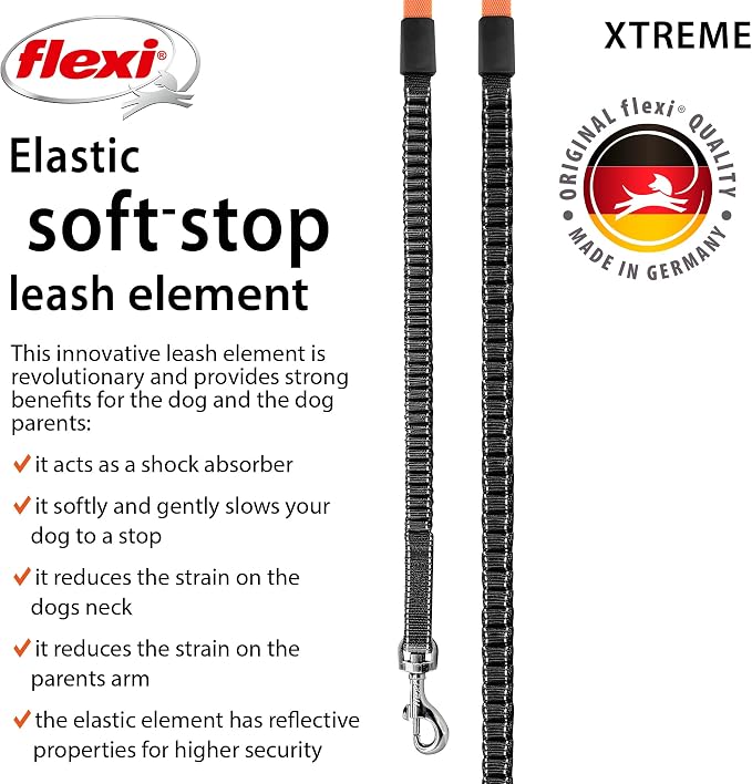 Flexi Extreme Tape 5m [Dog Lead] (M Size(less than 25kg))