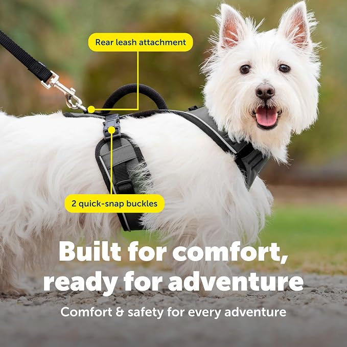 PetSafe EasySport Dog Harness, Charcoal Gray, Small | Padded, Elastic Neckline Harness for Active Dogs, Reflective Piping for Visibility, Top Control Handle, Rear Leash Clip