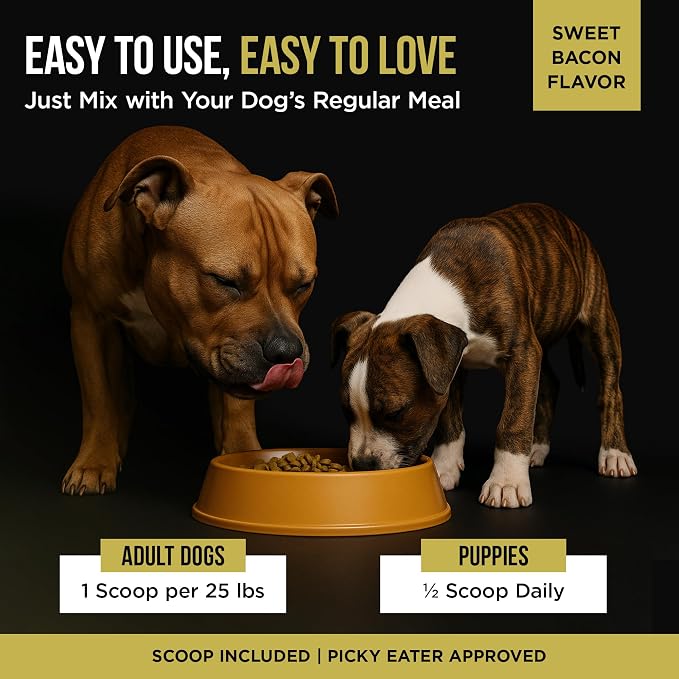 Dog Weight Gainer (604 Servings) - High Calorie Supplement for Dogs - Weight Gain Supplements for Dogs - Dog Protein Powder & Muscle Builder - Made in USA (2-Pack of 5 Pounds).