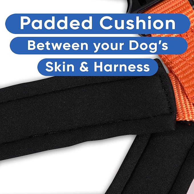 Pawtitas Reflective Padded Dog Harness for Medium Dogs – Adjustable Step-in Vest | Fits Chest 22–28 in | No Pull Training Harness | M | Orange