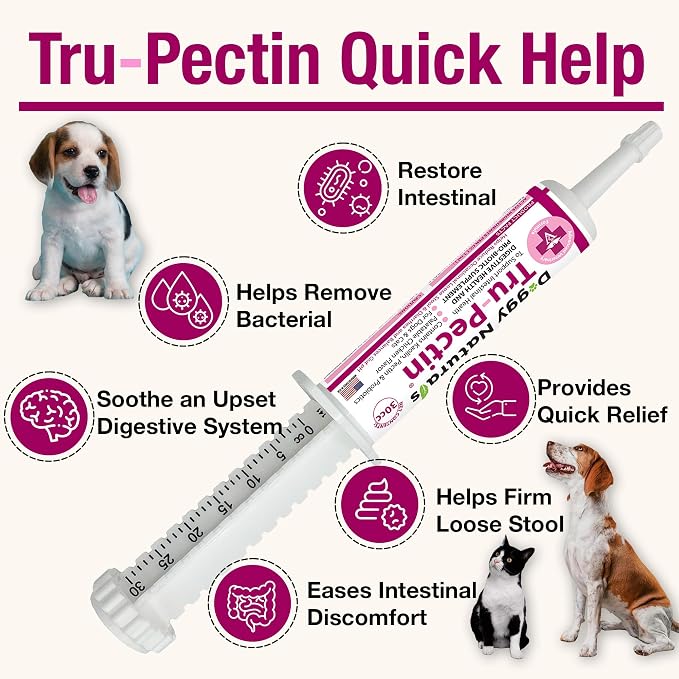 Tru-Pectin Anti-Diarrheal Oral Paste for Dogs & Cats – Chicken Liver Flavor –Helps Reduce Occasional Loose Stool & Diarrhea, Balance Gut pH, Support Normal Digestion & Gut Flora -Made in USA- 30cc