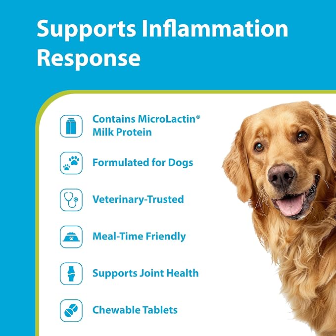 PRN Pharmacal Duralactin Canine Chewable Tablets, Vanilla, 180 Count