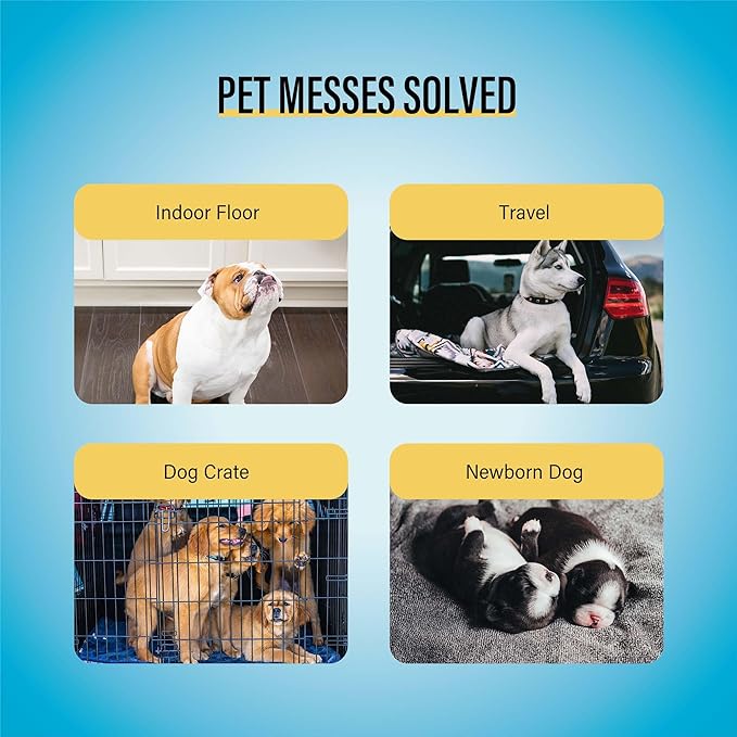 COCOYO Best Value Training Pads, 22" x 22", 100 Count, White & Blue Puppy Pads