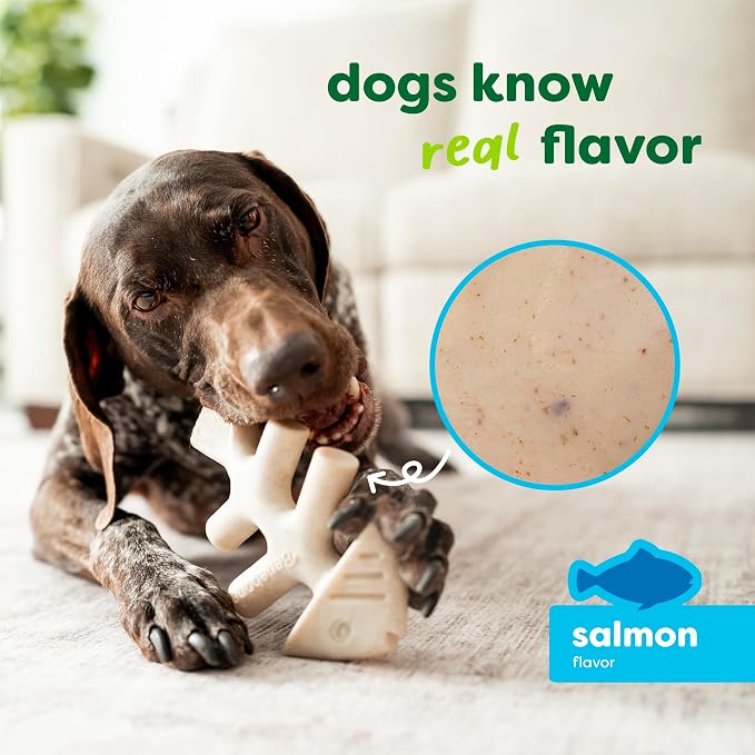 Benebone Plant-Based Fishbone Toy for Modest Chewers, Real Salmon, Medium | For Modest Chewers, Made in USA, REAL Salmon Flavor, Dog Bones