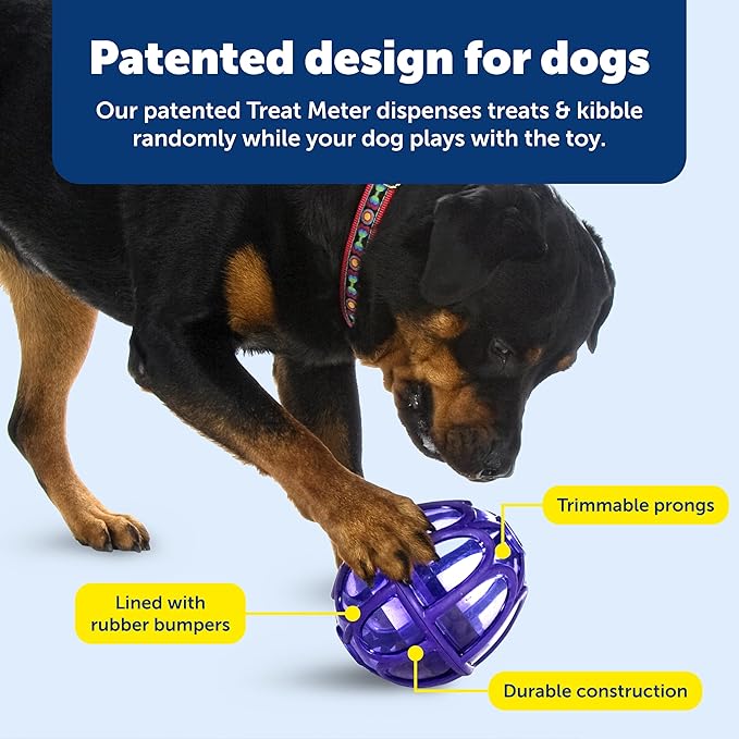 PetSafe Busy Buddy Kibble Nibble Dog Toy - Encourages Natural Instinct Feeding - Patented Treat Meter Design - Rubber Bumpers - Interactive Slow Feeder Ball - Purple - Large