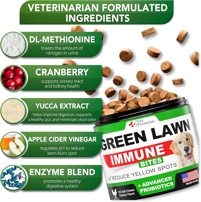 Grass Burn Spot Chews - Dog Urine Neutralizer for Lawn - Grass Green, Rocks