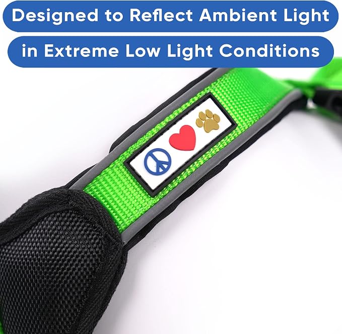 Pawtitas Reflective Padded Dog Harness for X-Small Dogs – Adjustable Puppy Step-in Vest | Fits Chest 14–18 in | No Pull Training Harness | XS | Green