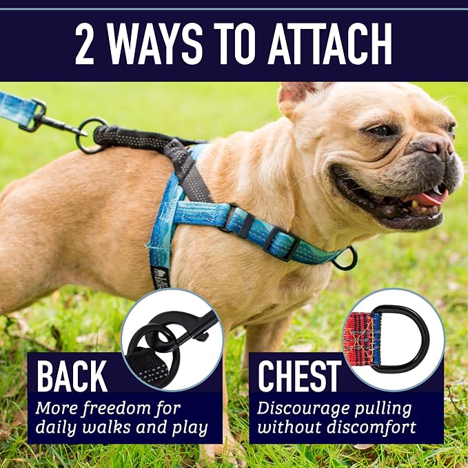 Leash Boss Dog Harness for Large Dogs - Lightweight No Pull Front Clip Reflective Harness - Large, Orange Blanket Pattern - Shock Absorbing Bungee Clip - Reflective Stitching for Nighttime Visibility