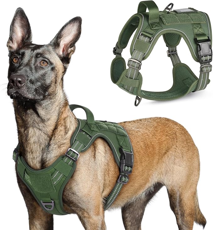 rabbitgoo Tactical Dog Harness for Large, No Pull Military Service Vest | Molle & Handle, Heavy Duty, Adjustable, Reflective Straps, Easy Control for Training Walking, Green, Large