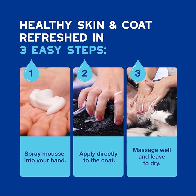DOUXO SPA Waterless Dog Shampoo, 10 fl oz | Leave-On Mousse, Cleans and Refreshes, Leaves the Coat Soft, Radiant and Smelling Great, Ultra-Safe Formula