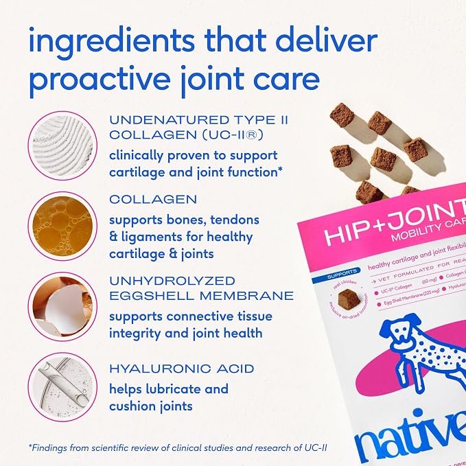 Native Pet Mobility Care - Hip & Joint Supplement for Dogs - UC-II Collagen, Egg Shell Membrane & Hyaluronic Acid - Dog Joint Supplement Chews Supports Cartilage, Mobility & Flexibility - 120 Chews
