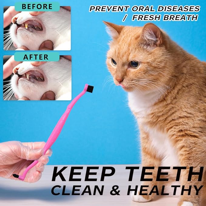 Pet Dental Care Set, Dual-Sided Toothbrush and Finger Brush, for Dogs and Cats (Black, Small Cone)