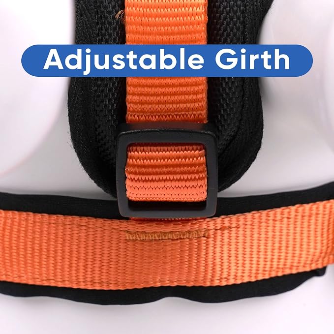 Pawtitas Reflective Padded Dog Harness for Small Dogs – Adjustable Puppy Step-in Vest | Fits Chest 18–22 in | No Pull Training Harness | S | Orange