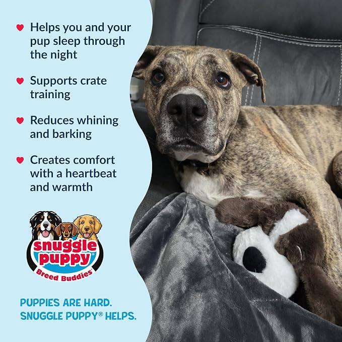 Snuggle Puppy Heartbeat Toy, Calming Comfort, Breed Buddies Bully Breed | Crate training comfort, heat pack, new puppy essentials, first nights sleep, Pit Bull, Bulldog