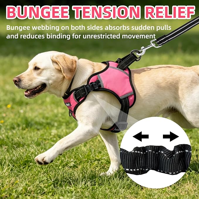 PUPTECK Dog Harness Medium Sized, No Pull Step-in Pet Vest Harness, Adjustable Soft Padded Reflective Safe Night Walking, No Choke Easy On & Off, Fuchsia M