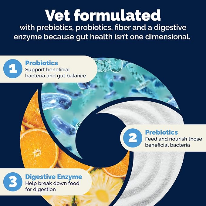 Vetnique Glandex Probiotic Chews for Dogs - 120ct, Bacon Flavor