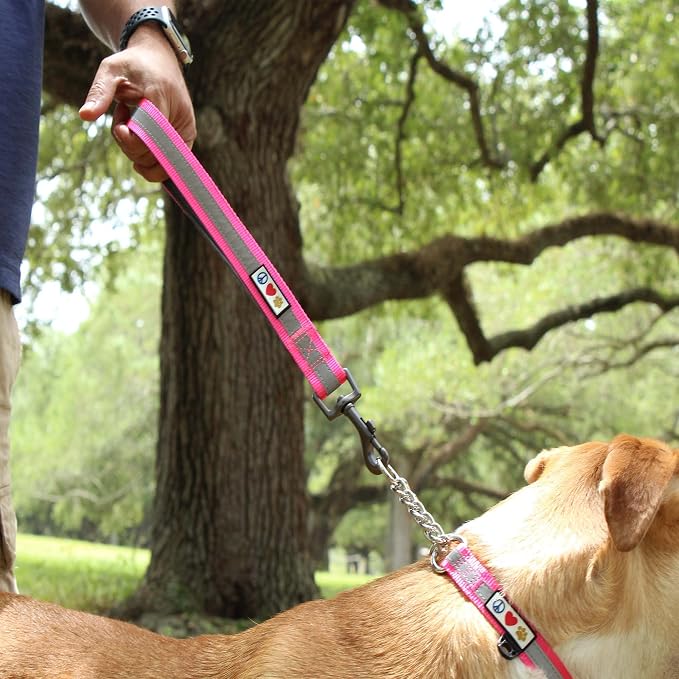 Pawtitas Short Reflective Dog Leash Amazing Comfort with Padded Handle for Heavy Duty Training Medium Large and Extra Large Dogs | Nylon Dog Lead with Webbing Highly Reflective Stripe - Red Leash