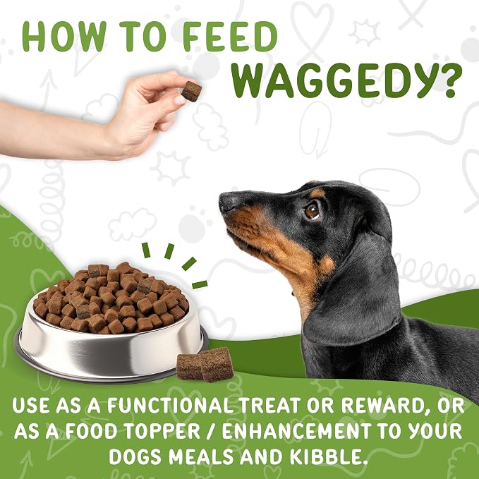 waggedy Daily Essentials Puppy – Full-Spectrum Functional Treats, Small or Large Breed Puppy Supplements – Dog Supplements & Vitamins – Dog Essentials for Puppies (60 Chews)