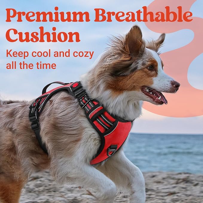 rabbitgoo Large Dog Harness, Easy Wear with 3 Buckles and Lift Handle | No Pull with Front Clip for Walking, Adjustable Soft Padded, Reflective, Easy Control, Red, X-Large