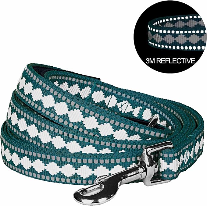 Blueberry Pet 3M Reflective Jacquard Dog Leash with Soft & Comfortable Handle, 5 ft x 5/8", Teal Blue, Small, Leashes for Dogs