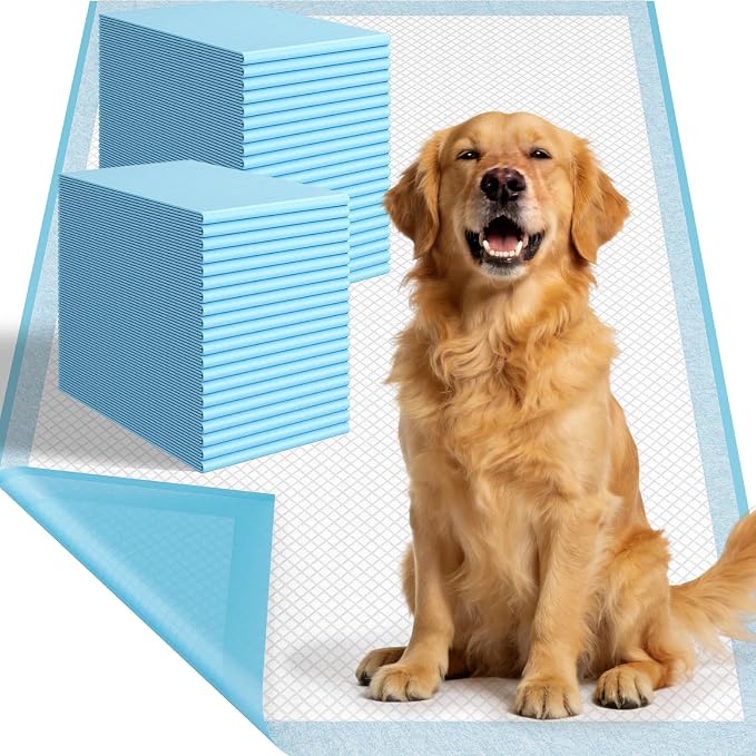 Large Puppy Pee Pads for Dogs 31" x 47" 40 Count, 6-Layer Leak-Proof XXXL Dog Pee Pads Extra Large, Super Absorbent Quick-Dry Thick Disposable Potty Training Pads